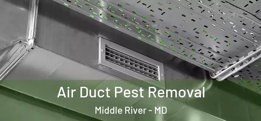  Air Duct Pest Removal Middle River - MD