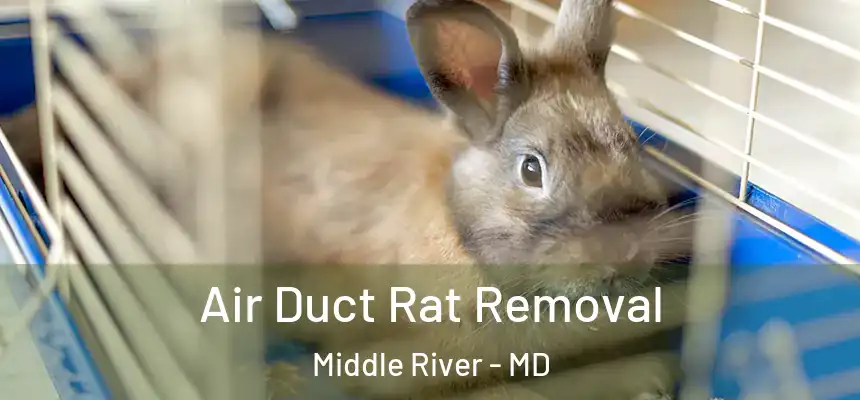  Air Duct Rat Removal Middle River - MD