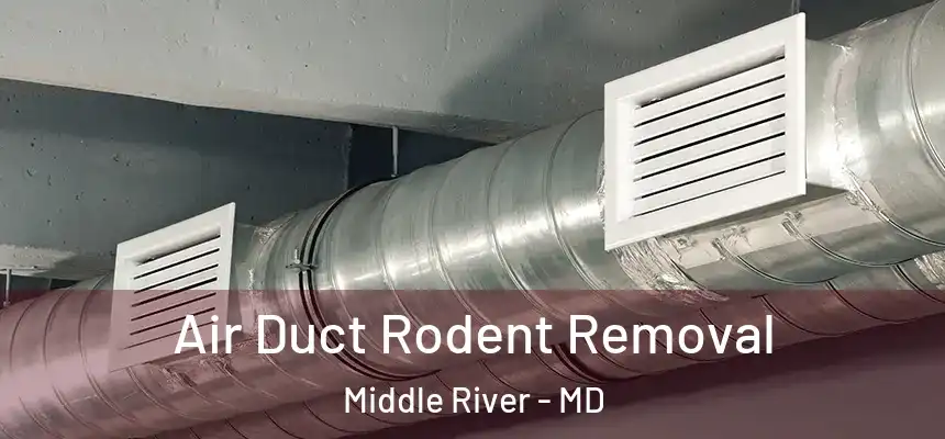 Air Duct Rodent Removal Middle River - MD