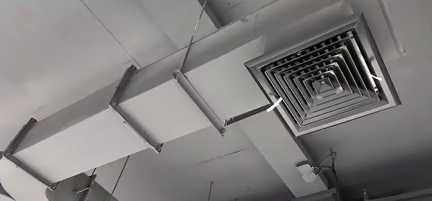 Restorative Allergy Relief Vent Cleaning – Coil, Blower & Housing Detail in Middle River