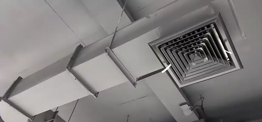 Our Pest Removal From Ducts Services in Middle River, MD