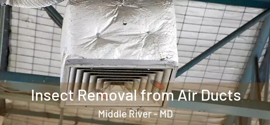  Insect Removal from Air Ducts Middle River - MD