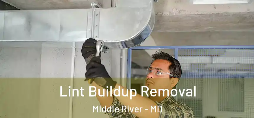  Lint Buildup Removal Middle River - MD