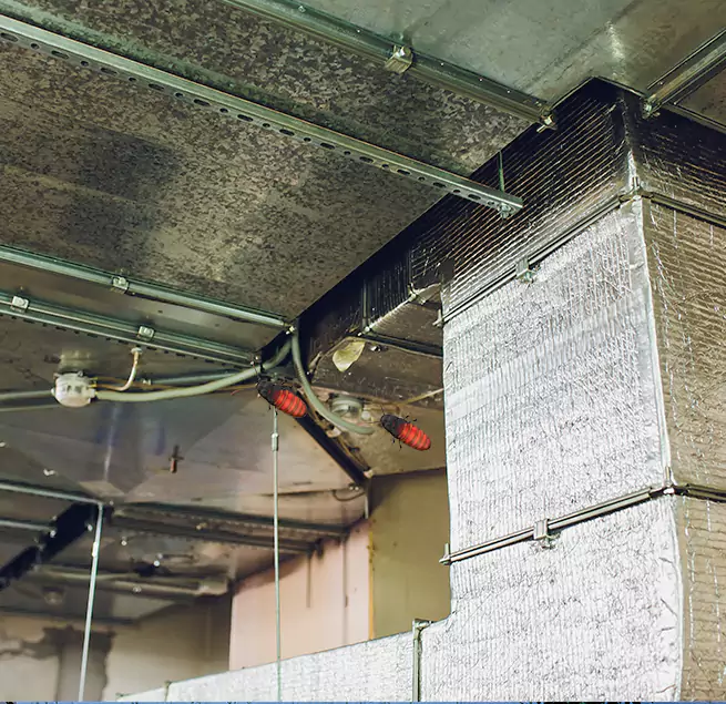 Why Homeowners & Businesses Trust Us in Middle River, MD?